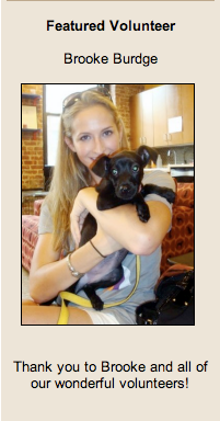 Scholarship Recipient Brooke Burdge Recognized as Featured Volunteer at Animal Haven in NYC