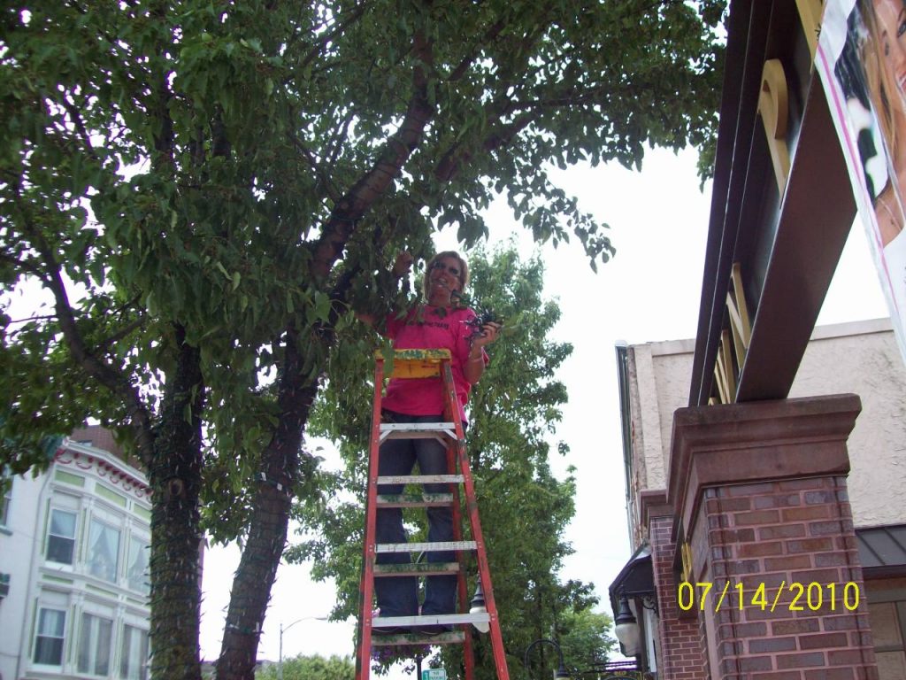 Pink Tree in Cumberland County, N.J. to be Dedicated to Casey Feldman on July 16th