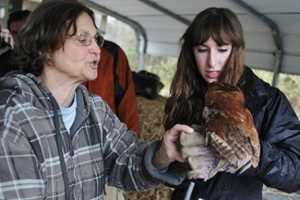 Jenna Schein (R) helping an injured screech owl at Possumwood Acres Wildlife Sanctuary
