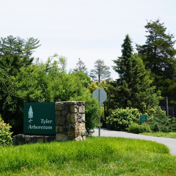 Nonprofit Tech Support Program Connects Computer Science Students to Community Work